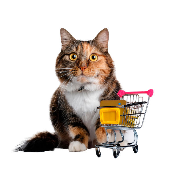 gato compras